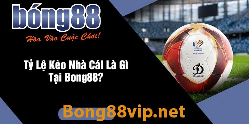 Bong88 là gì? Link vào bong88 mới nhất Bong88 là gì? Link vào bong88 mới nhất